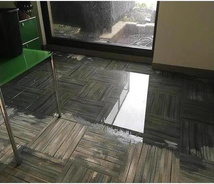water damage on carpet in office building near Orlando, FL