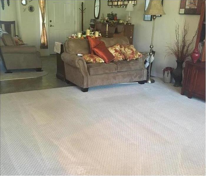 SERVPRO cleaned and dried carpet in a living room in Orlando, FL