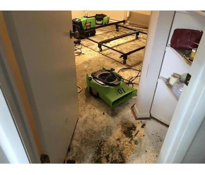 SERVPRO of Altamonte Springs / Longwood air movers drying the subfloor of a home in Orlando, FL