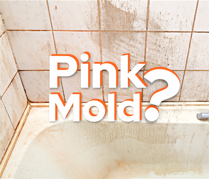 bathroom, white tile with pink mold in the cracks, text overtop says "pink mold?"