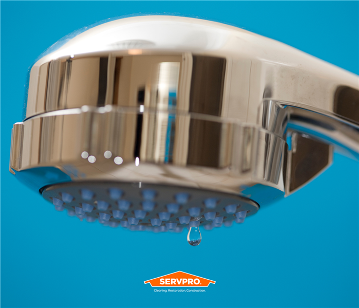  a blue wall with shower head leaky water, SERVPRO of Altamonte Springs / Longwood logo